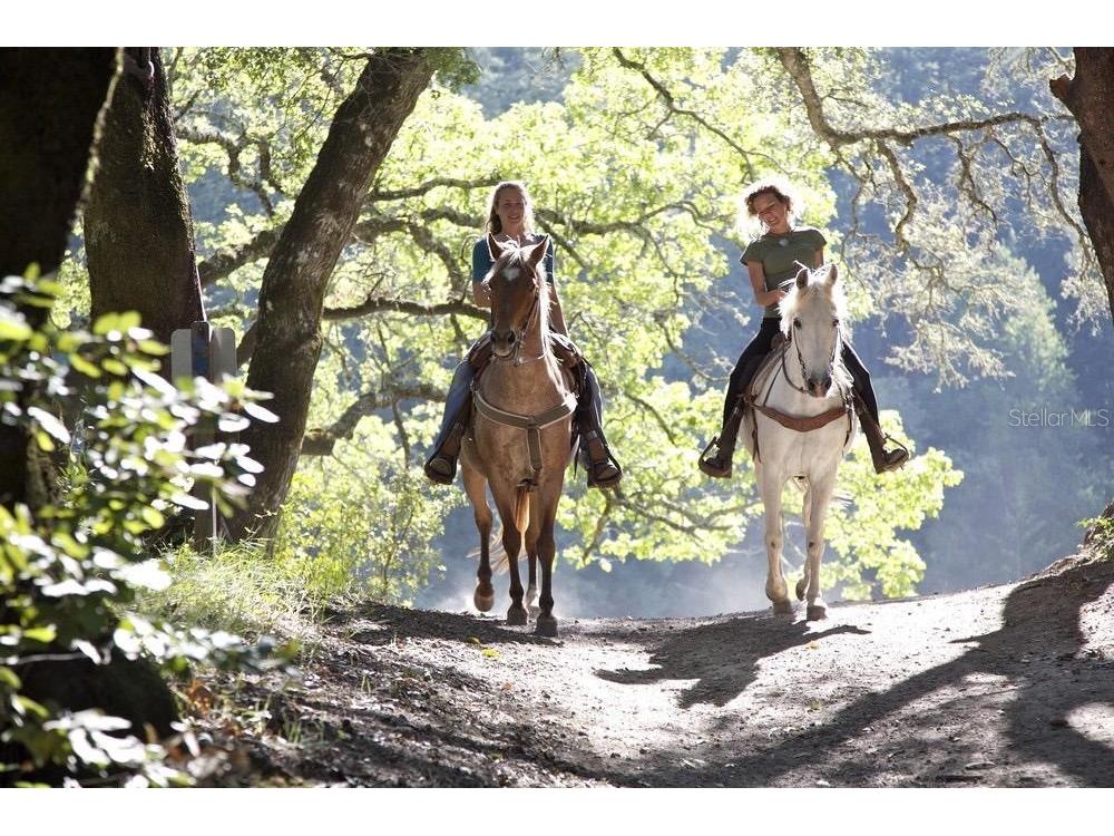 2353 W Green Court Citrus Springs FL 34434 O6391027 image1