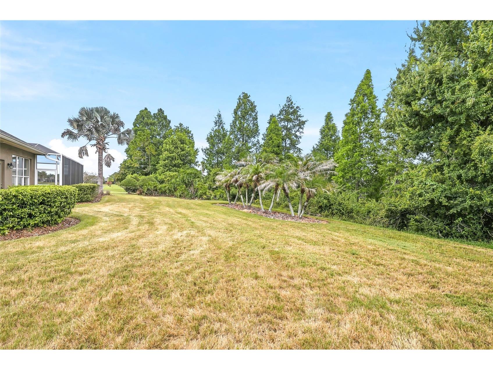 23534 Gracewood Circle Land O Lakes FL 34639 TB8516710 image74