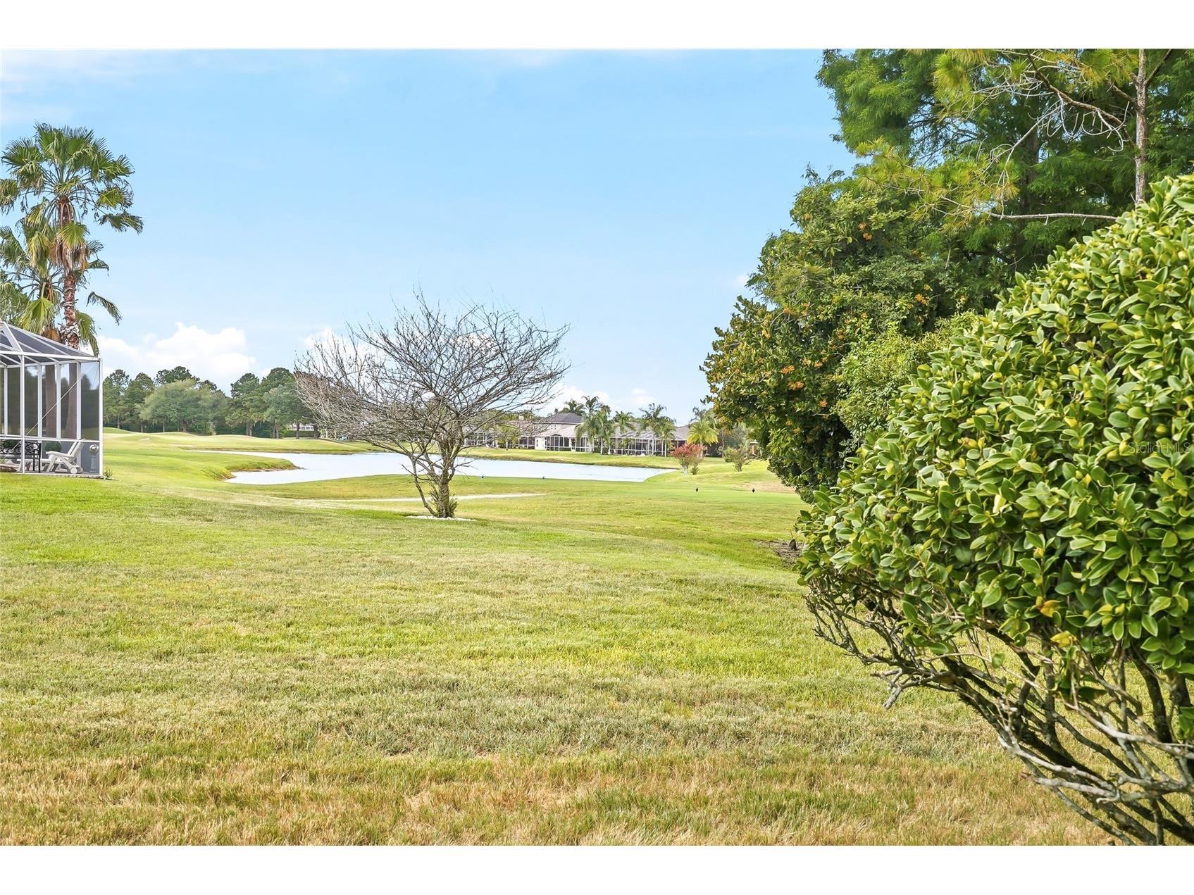 23534 Gracewood Circle Land O Lakes FL 34639 TB8516710 image75