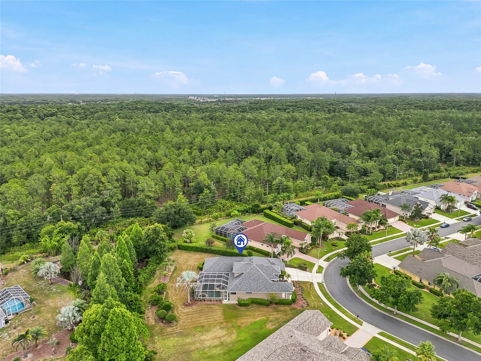 23534 Gracewood Circle Land O Lakes FL 34639 TB8516710 image79