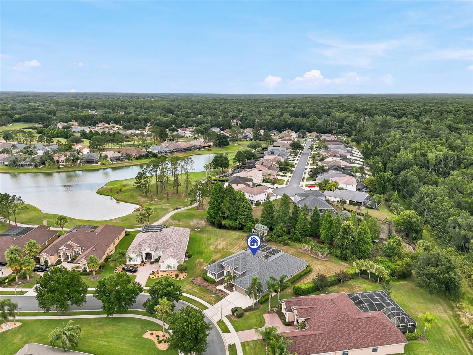 23534 Gracewood Circle Land O Lakes FL 34639 TB8516710 image83