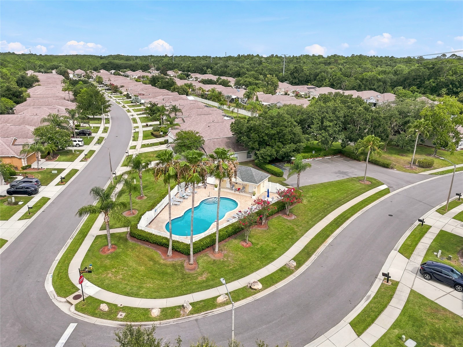 23534 Gracewood Circle Land O Lakes FL 34639 TB8516710 image86