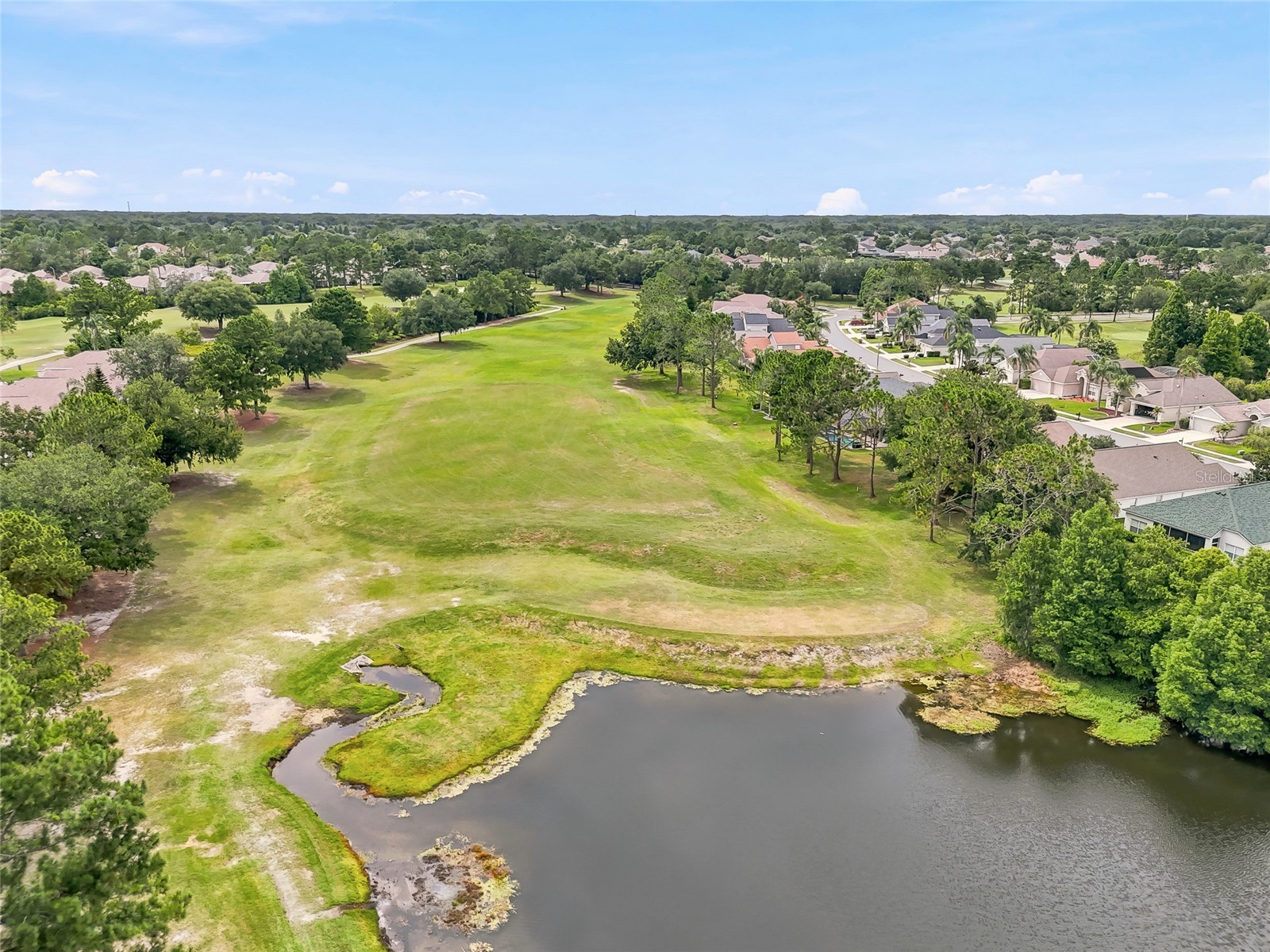 23534 Gracewood Circle Land O Lakes FL 34639 TB8516710 image88