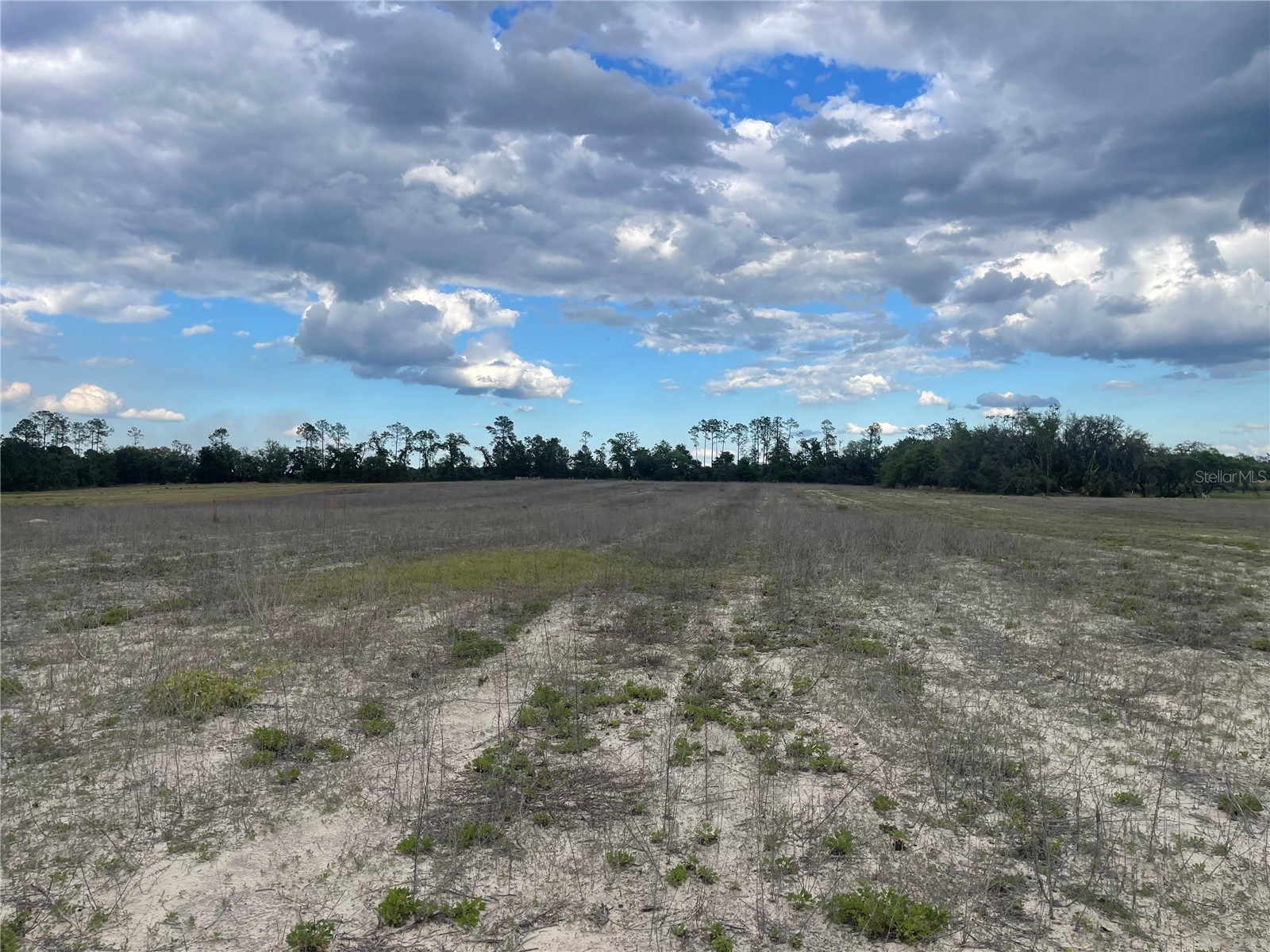 23535 NE 99th Avenue Road Citra FL 32113 OM724038 image4
