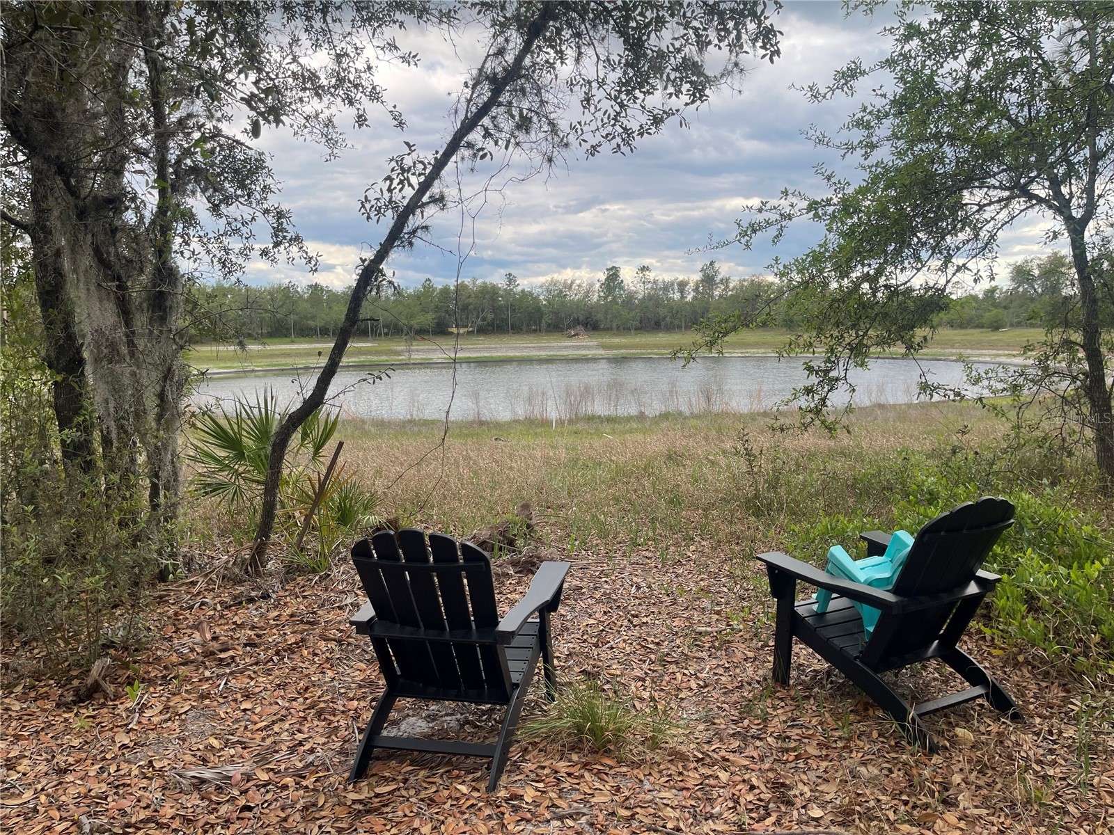 23535 NE 99th Avenue Road Citra FL 32113 OM724038 image6