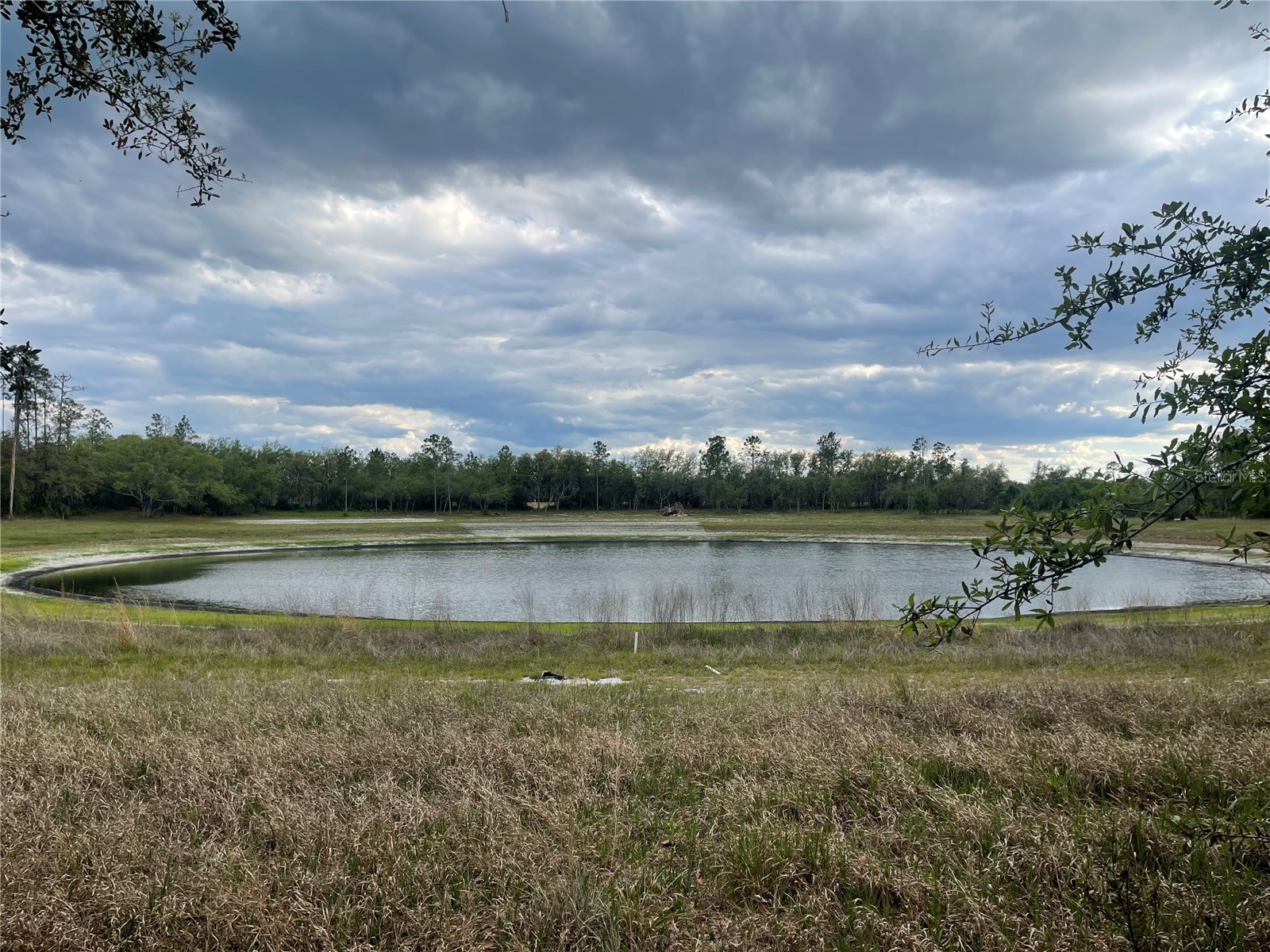 23535 NE 99th Avenue Road Citra FL 32113 OM724038 image7