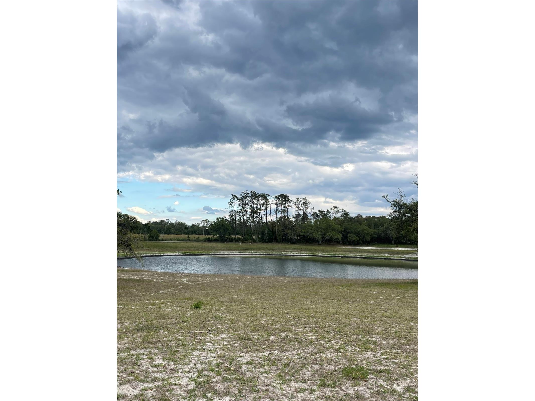 23535 NE 99th Avenue Road Citra FL 32113 OM724038 image8
