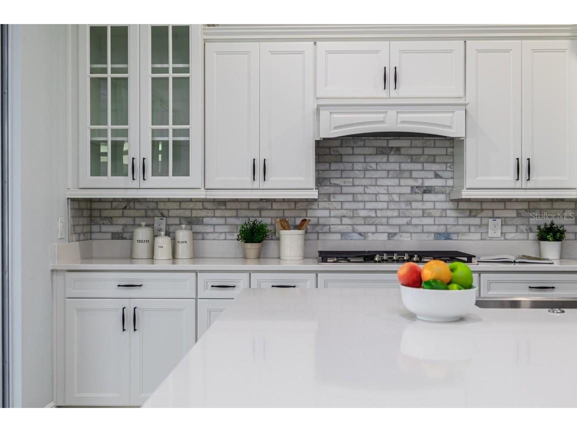 2354 Emerald Springs Drive Apopka FL 32712 O6321100 image28