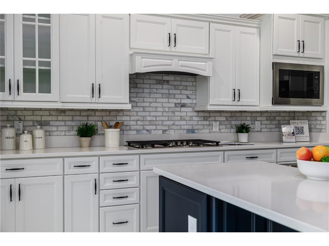 2354 Emerald Springs Drive Apopka FL 32712 O6321100 image29