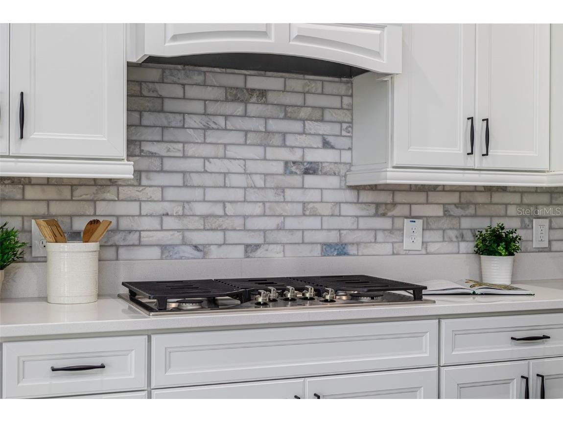 2354 Emerald Springs Drive Apopka FL 32712 O6321100 image30