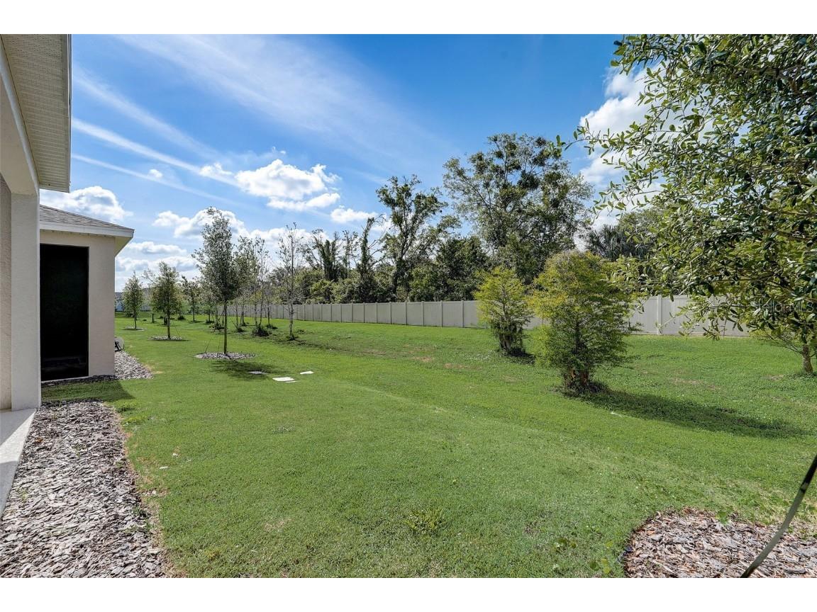 2354 Emerald Springs Drive Apopka FL 32712 O6321100 image67