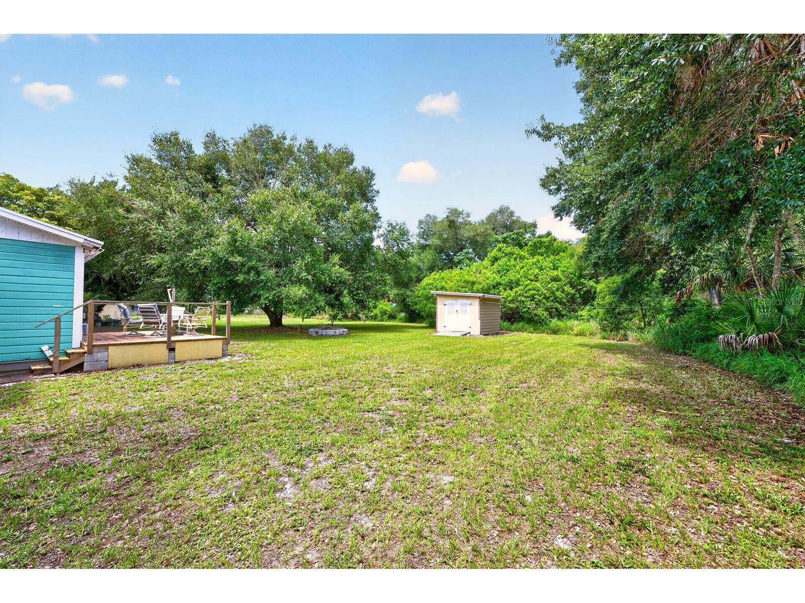2354 Harry T Moore Avenue Mims FL 32754 O6417085 image34