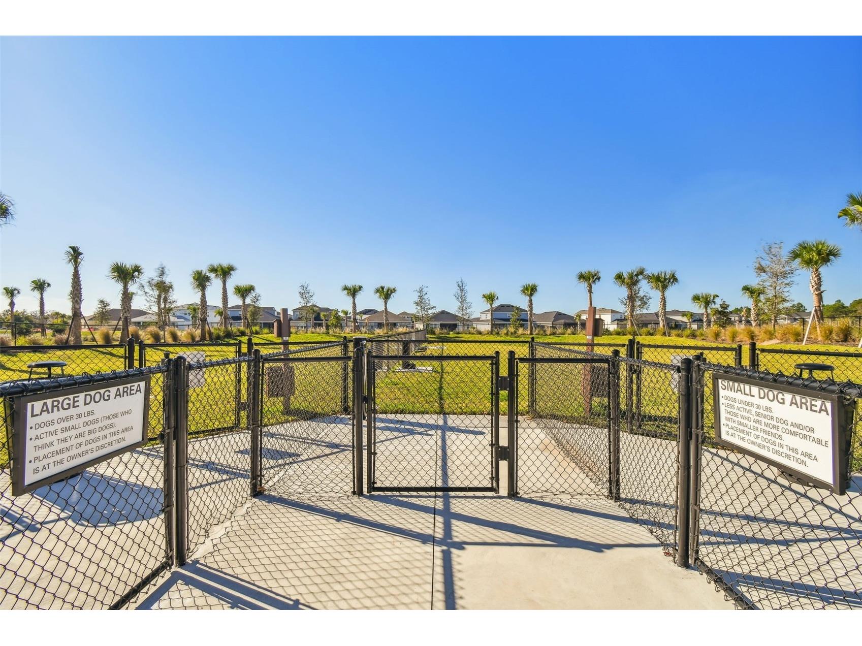 2354 High Tides Way Wesley Chapel FL 33543 TB8487193 image67