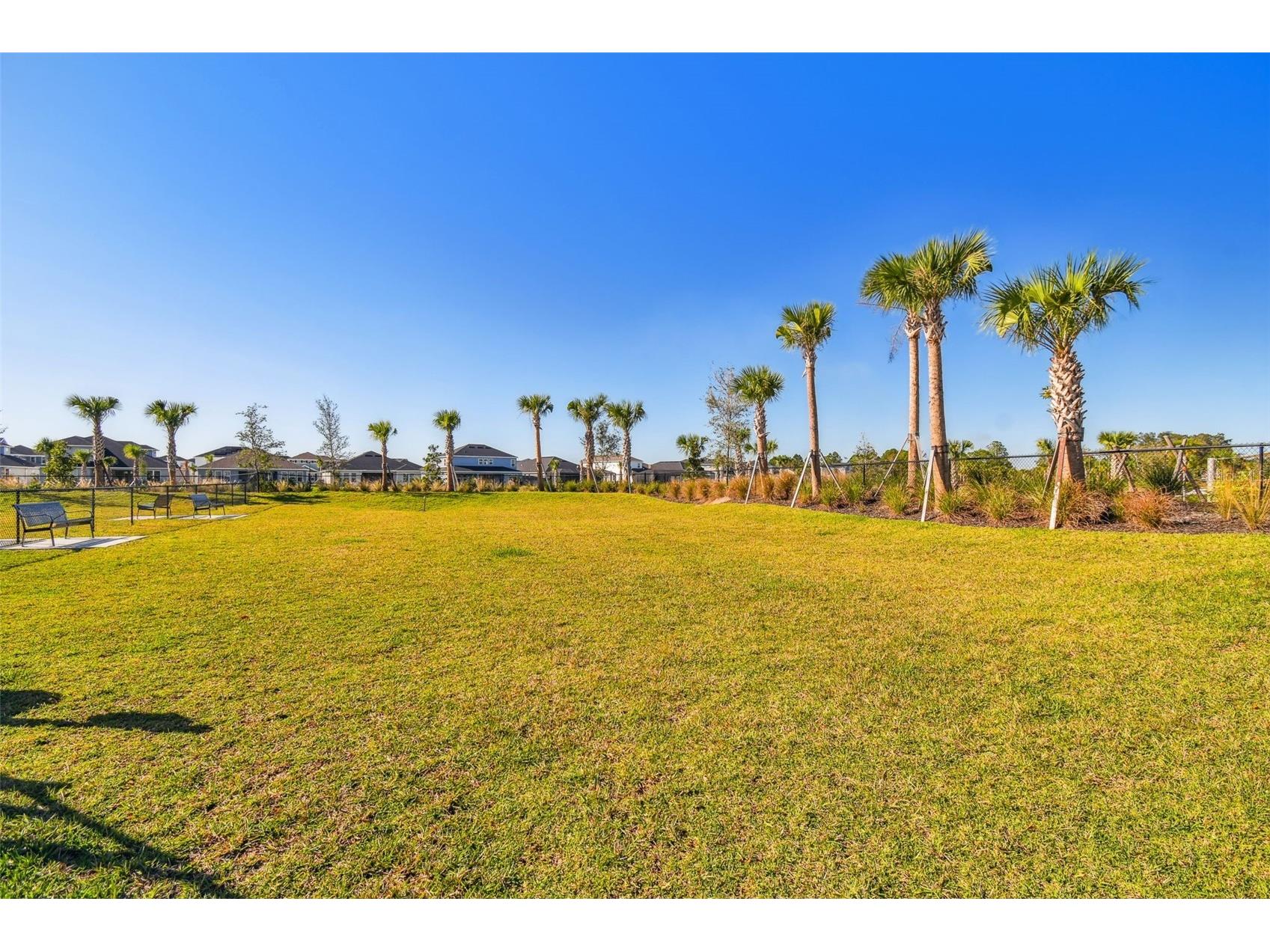 2354 High Tides Way Wesley Chapel FL 33543 TB8487193 image68