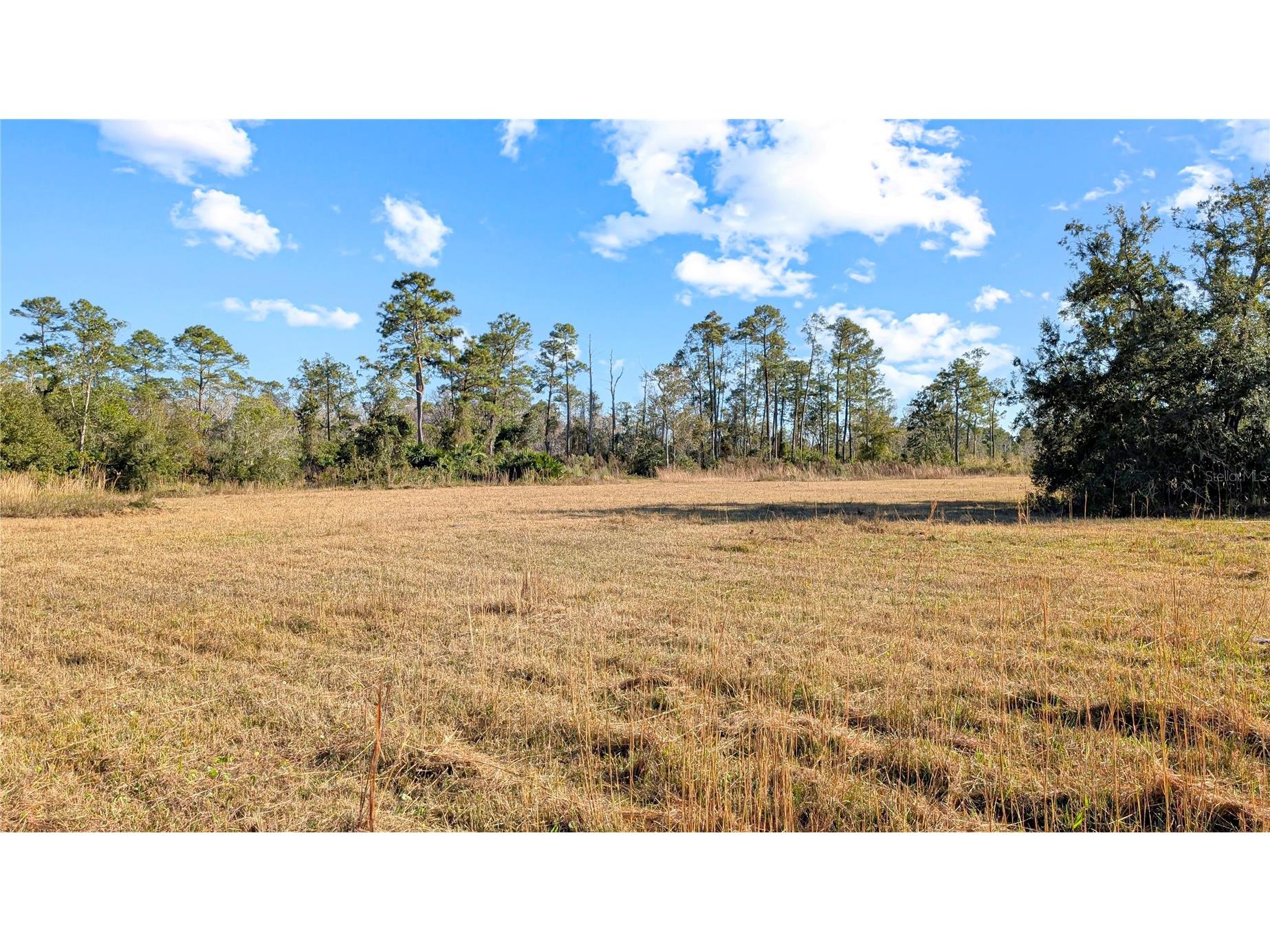 23545 Bishop Avenue Christmas FL 32709 O6369317 image14
