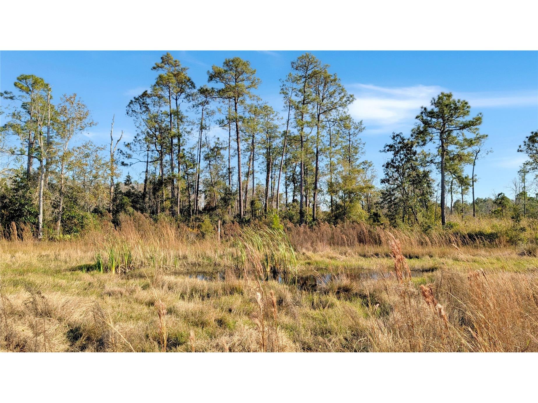 23545 Bishop Avenue Christmas FL 32709 O6369317 image15