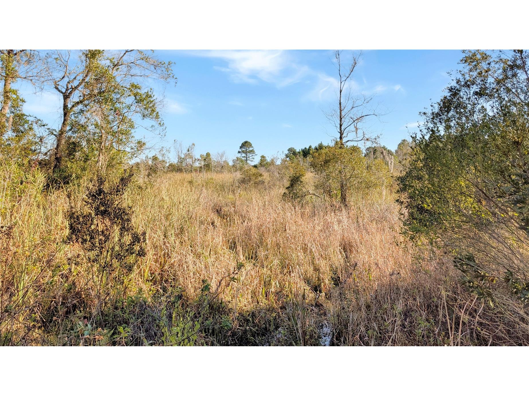 23545 Bishop Avenue Christmas FL 32709 O6369317 image16