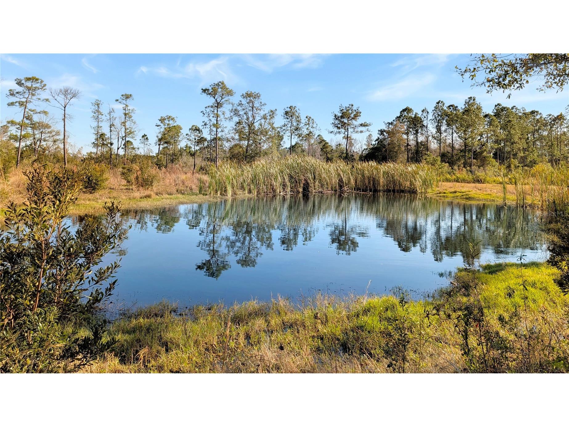 23545 Bishop Avenue Christmas FL 32709 O6369317 image2