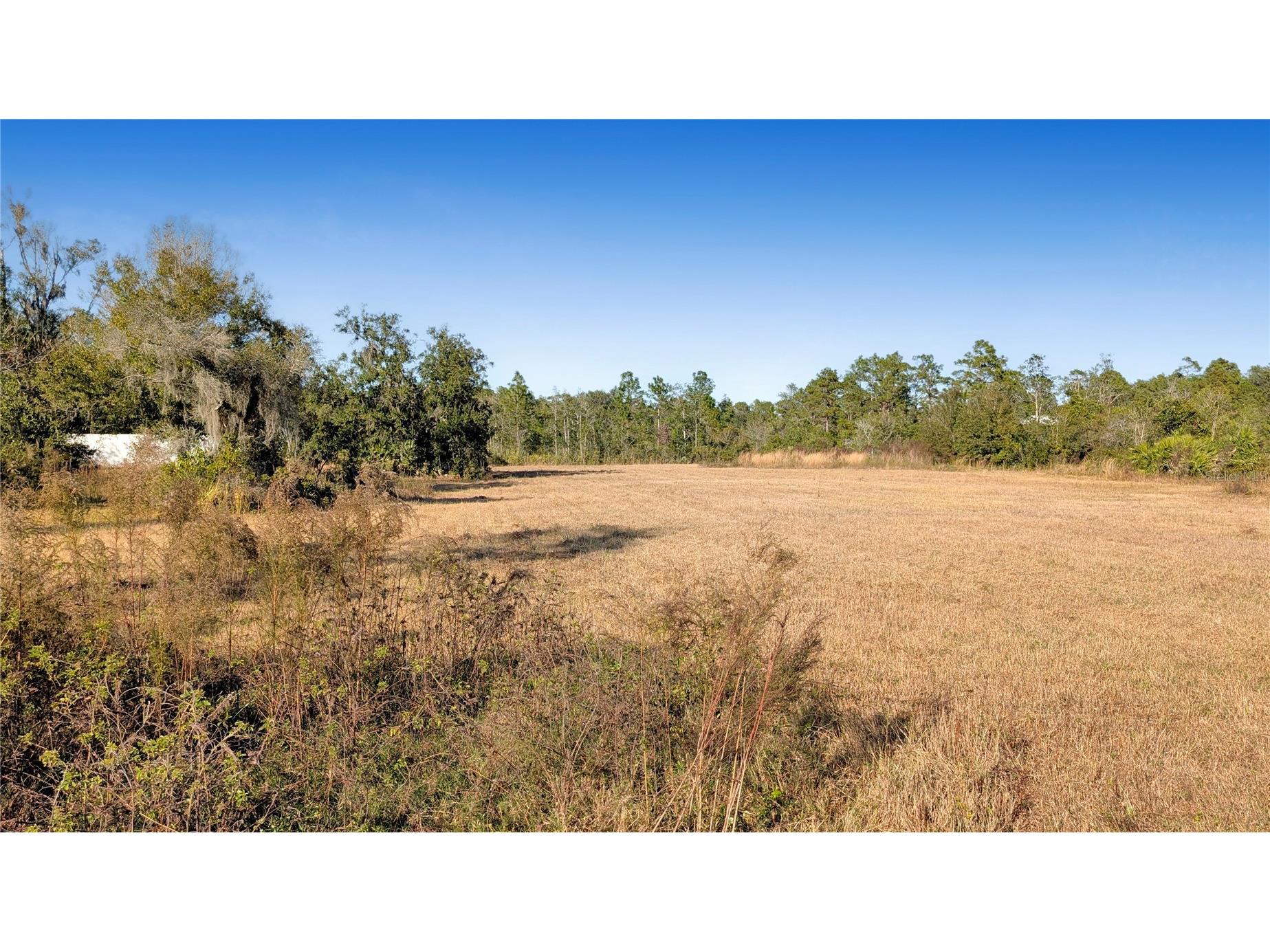 23545 Bishop Avenue Christmas FL 32709 O6369317 image3
