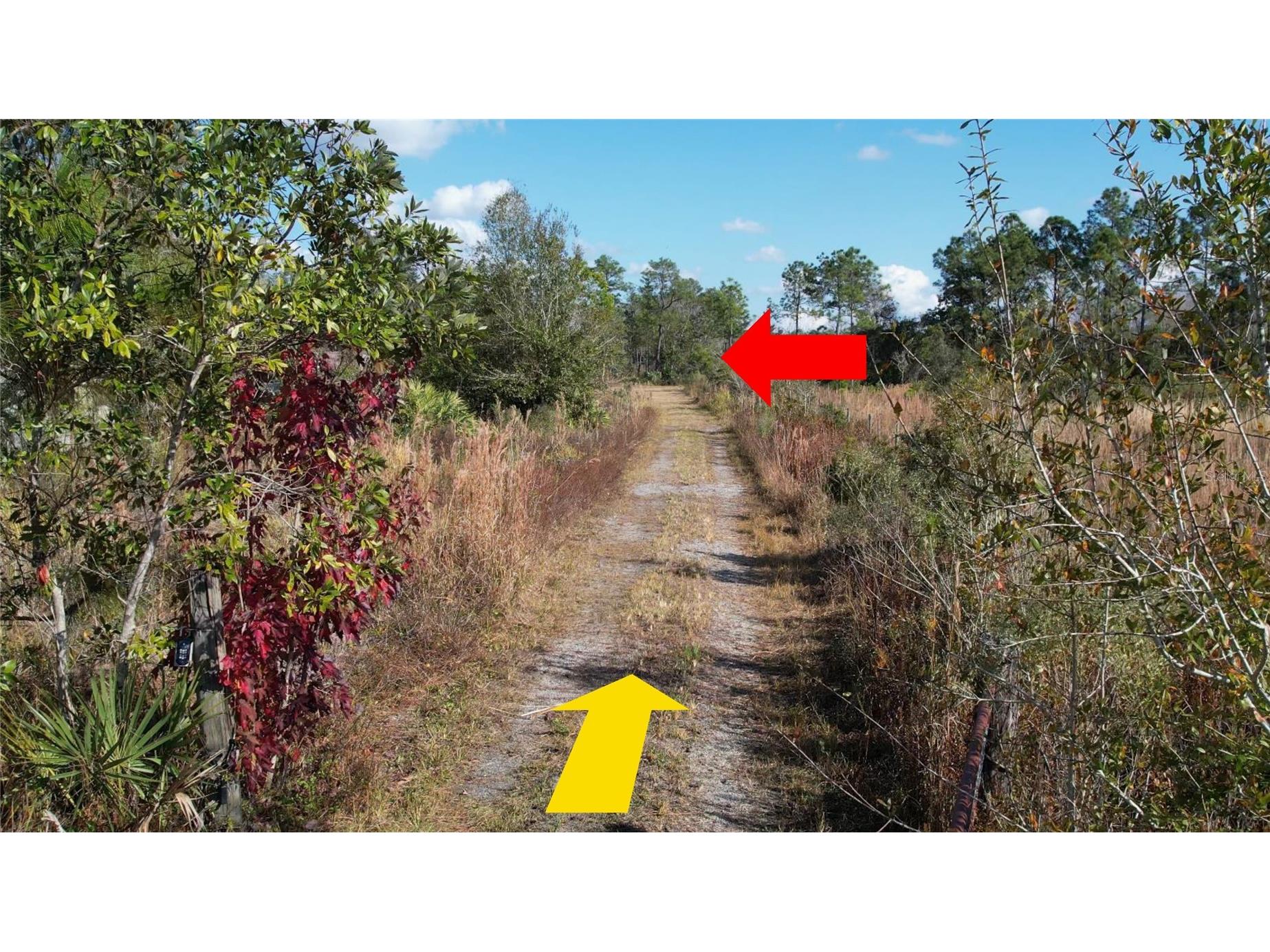 23545 Bishop Avenue Christmas FL 32709 O6369317 image8