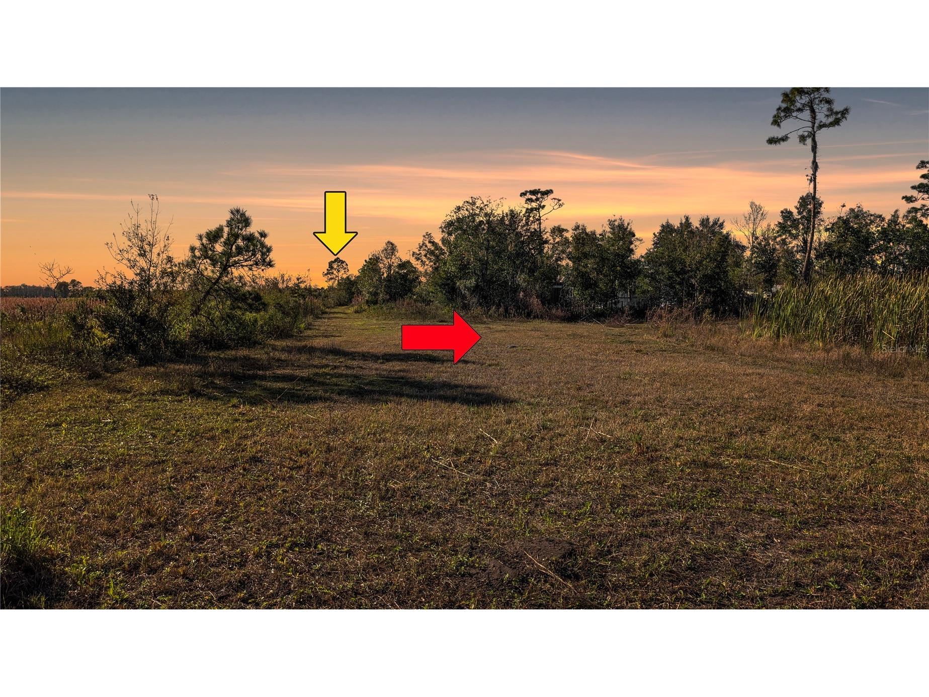 23545 Bishop Avenue Christmas FL 32709 O6369317 image9