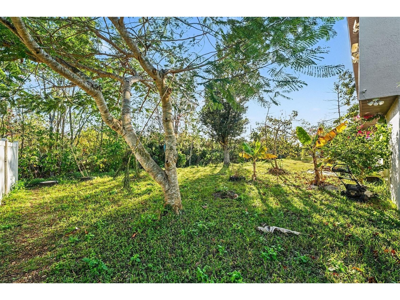 2355 Andrews Valley Drive Kissimmee FL 34758 O6378363 image29