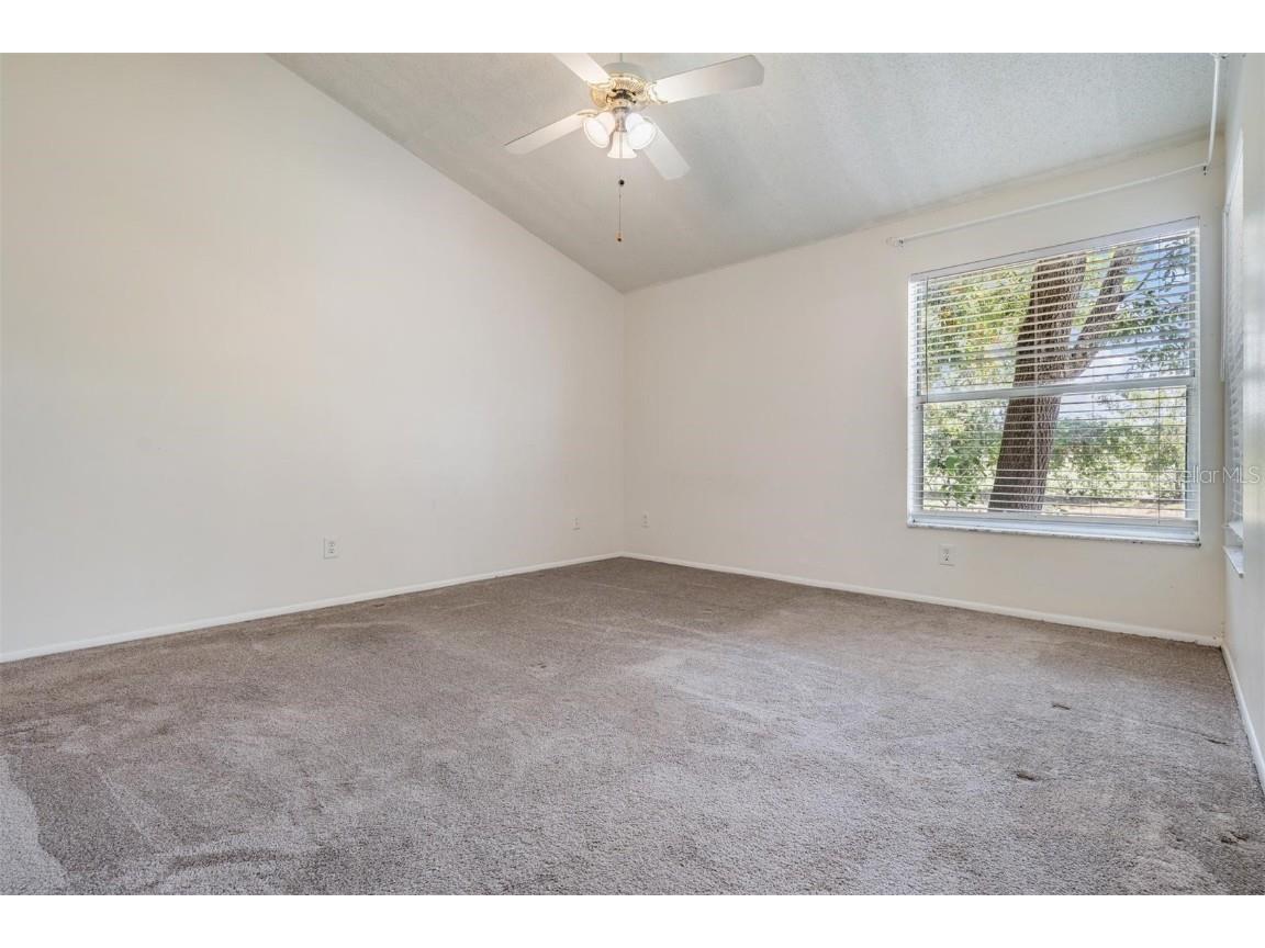 2355 Bentley Drive Palm Harbor FL 34684 TB8388469 image23