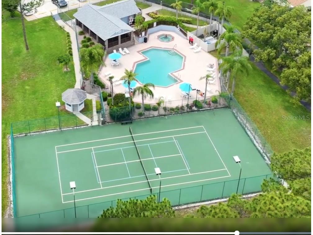 2355 Bentley Drive Palm Harbor FL 34684 TB8388469 image3