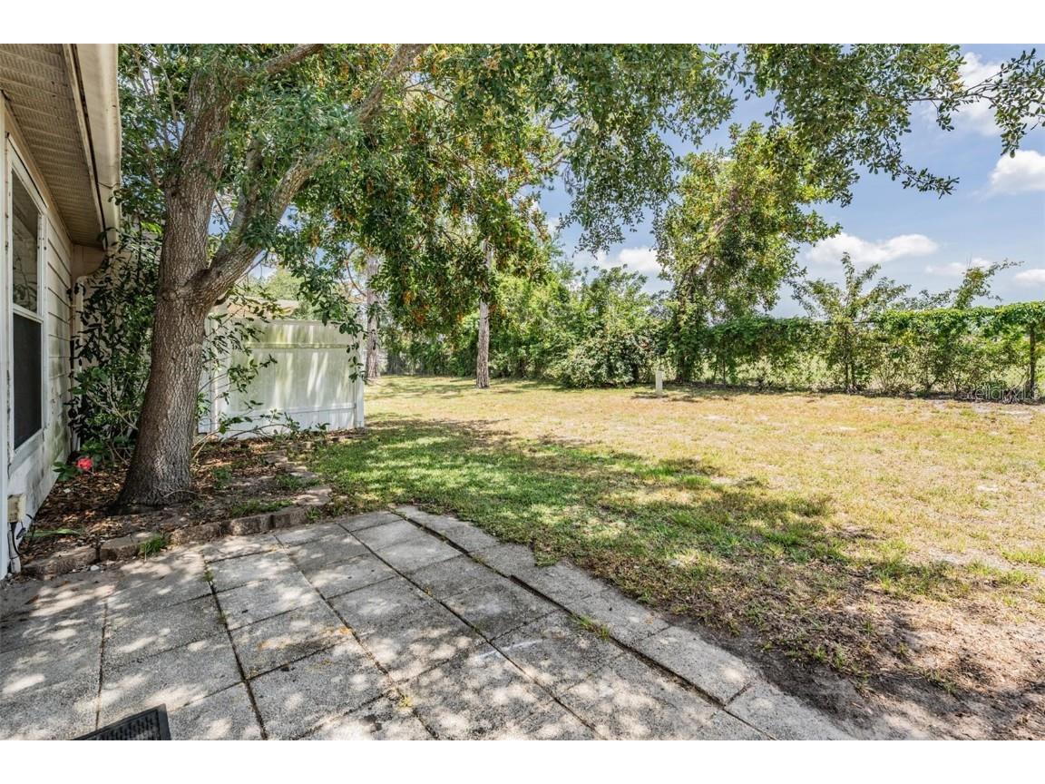 2355 Bentley Drive Palm Harbor FL 34684 TB8388469 image31