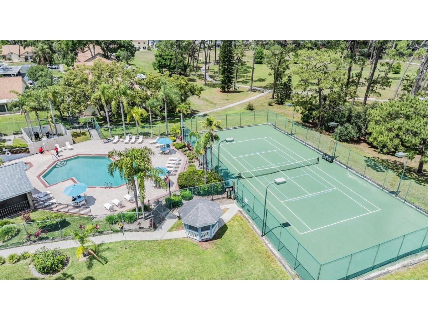 2355 Bentley Drive Palm Harbor FL 34684 TB8388469 image39