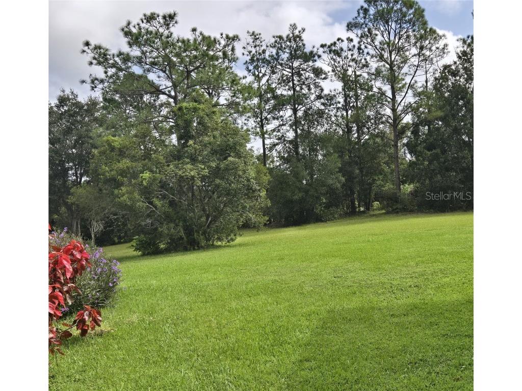 2355 S Citrus Circle #1377 Zellwood FL 32798 - LAKE GRASSMERE AND LAKE COHEN O6350249 image5