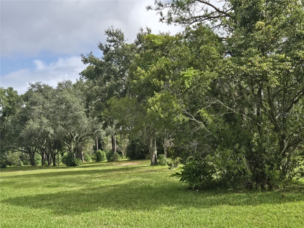 2355 S Citrus Circle #1377 Zellwood FL 32798 - LAKE GRASSMERE AND LAKE COHEN O6350249 image6