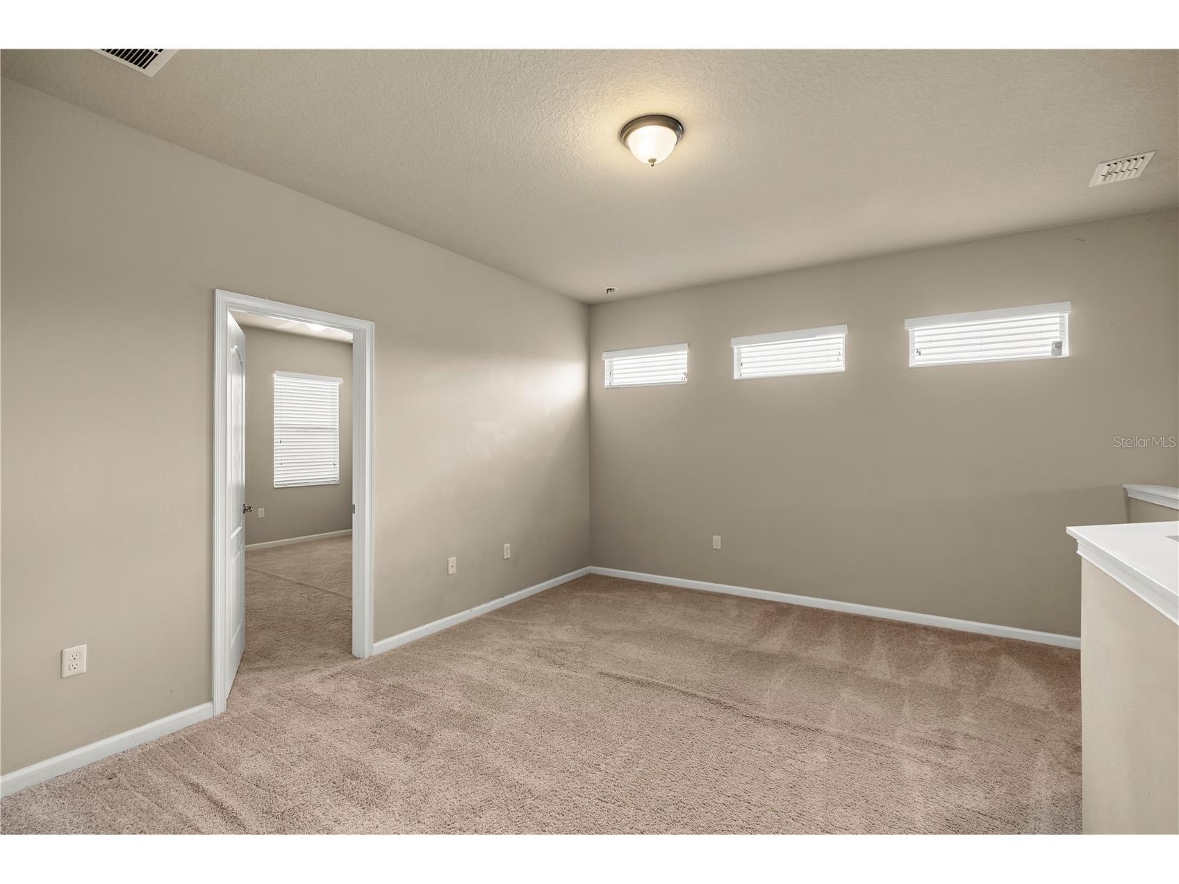 2355 Sabastian Street Mount Dora FL 32757 O6421940 image21