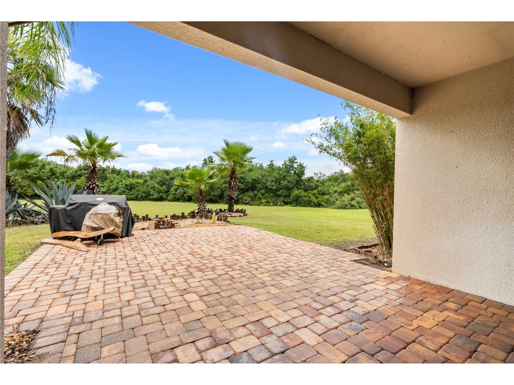 2355 Sabastian Street Mount Dora FL 32757 O6421940 image29