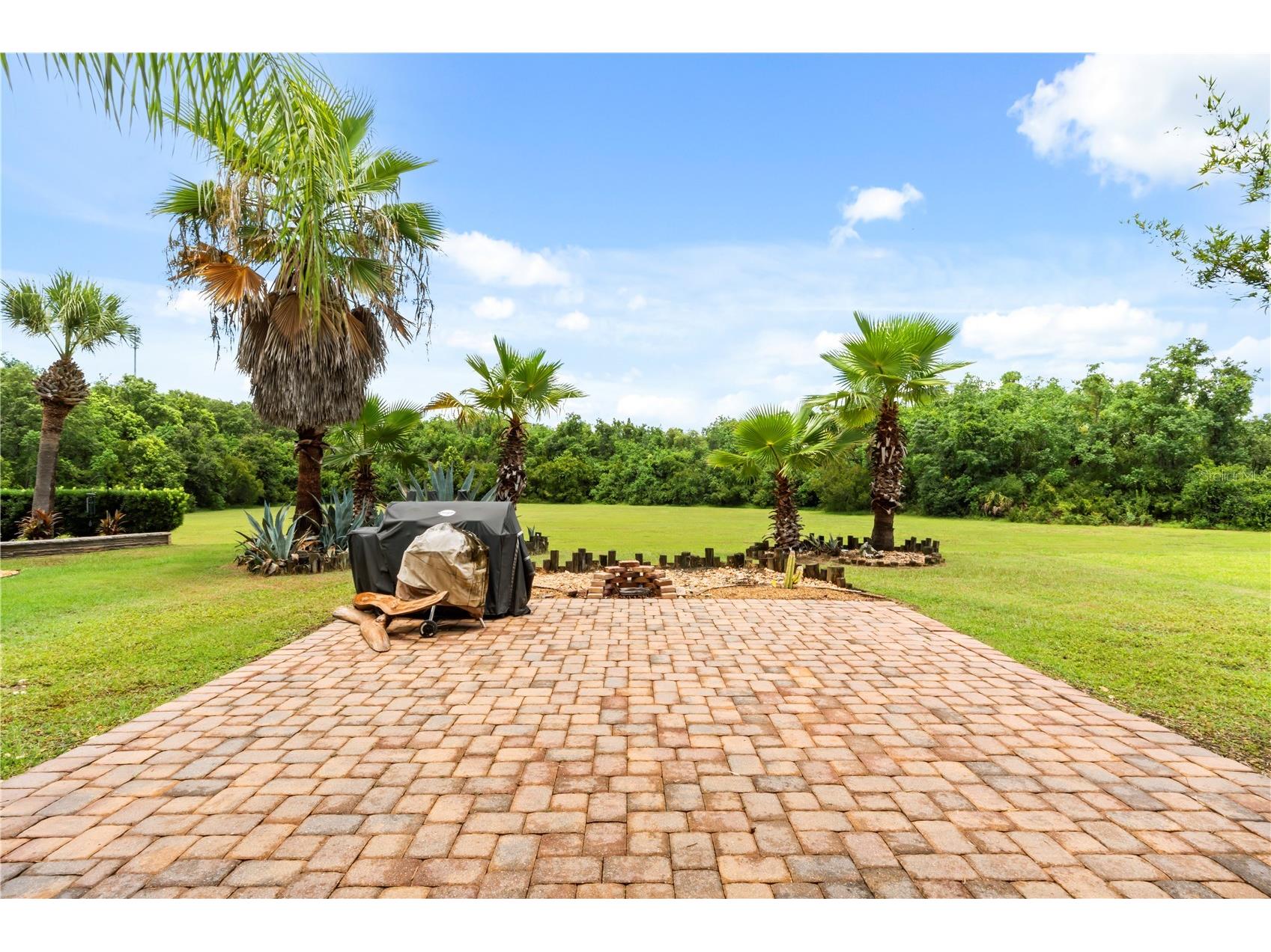 2355 Sabastian Street Mount Dora FL 32757 O6421940 image32