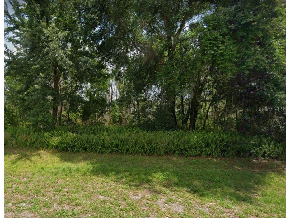 2355 Salem Drive Deltona FL 32738 - LAKE LOUISE O6117930 image1