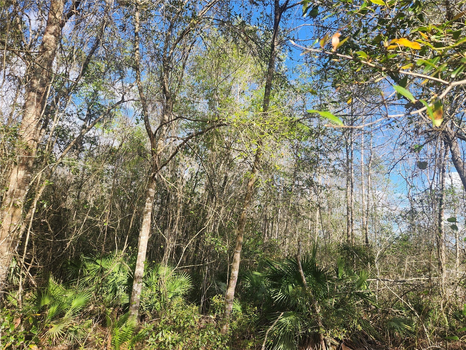 2355 SE State Road 100 Starke FL 32091 TB8487317 image24