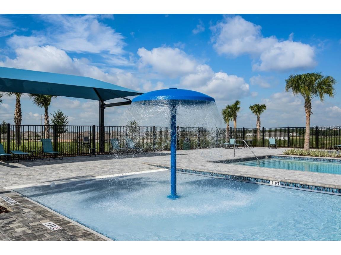 2355 Selenia Street Lake Alfred FL 33850 C7517017 image4