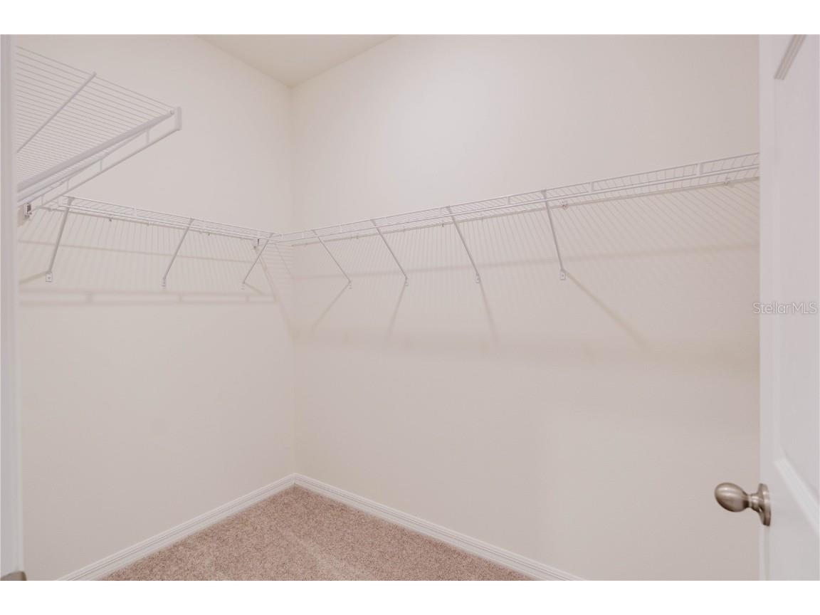 2355 Selenia Street Lake Alfred FL 33850 O6324088 image17