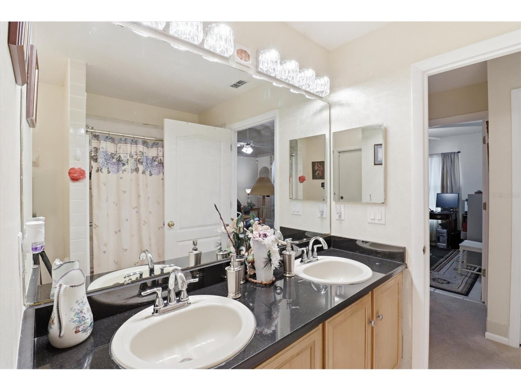 2356 Alclobe Circle Ocoee FL 34761 O6388571 image12