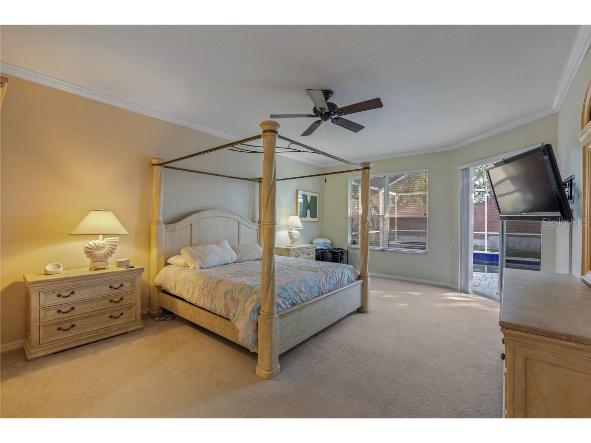 2356 Messenger Circle Safety Harbor FL 34695 TB8440988 image23