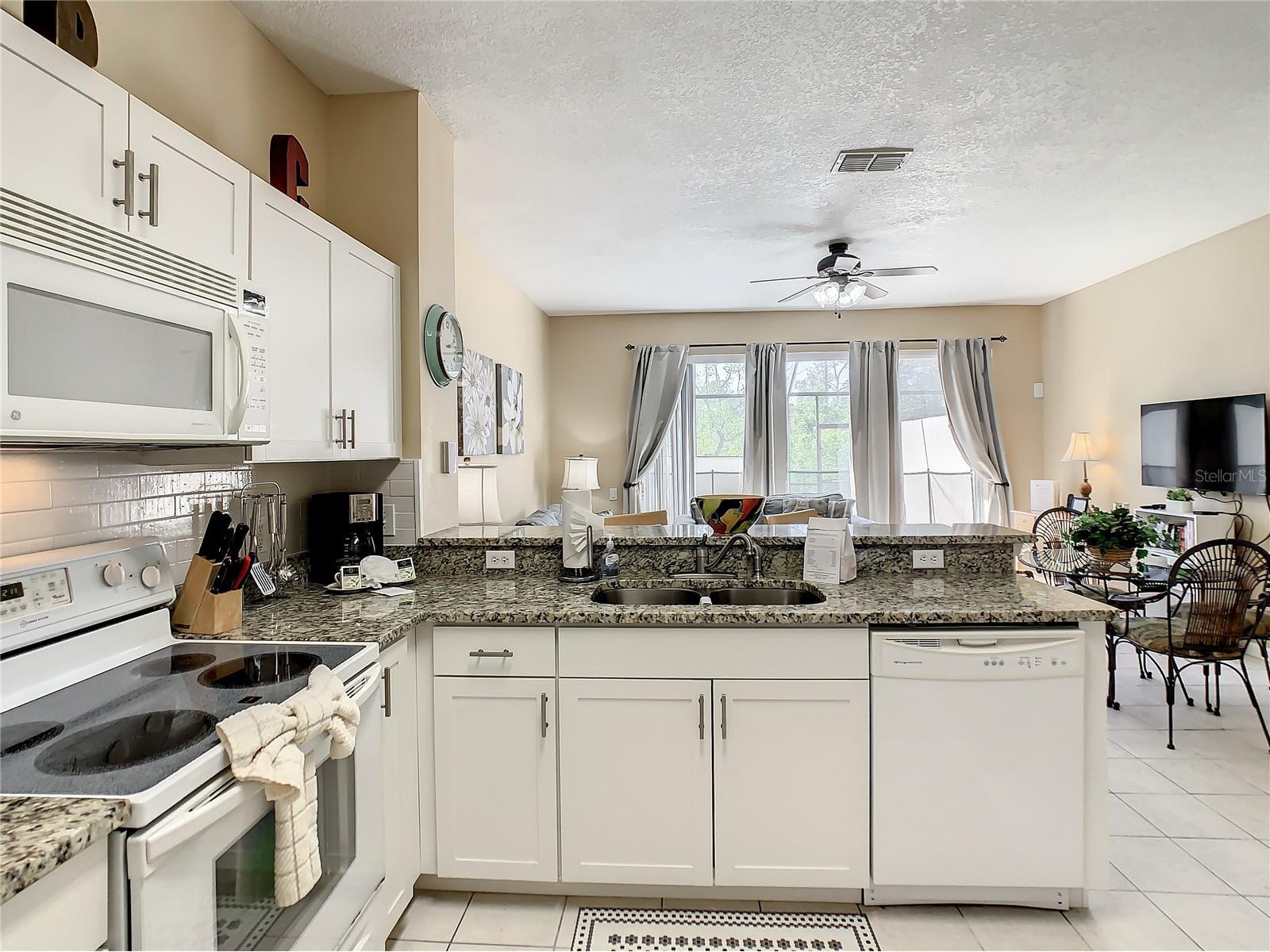2356 Silver Palm Drive Kissimmee FL 34747 L4962865 image8
