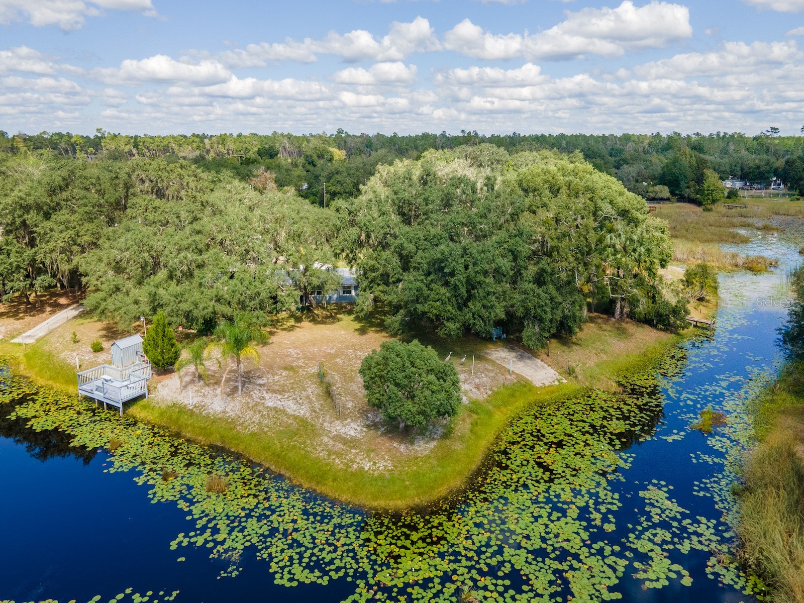 23560 NE 154th Place Road Salt Springs FL 32134 - LAKE KERR CANAL FRONT OM711703 image1