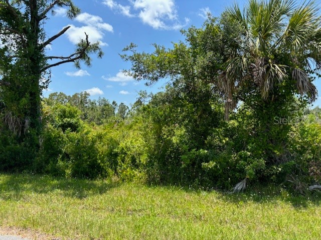 2357 Remagen Street Port Charlotte FL 33953 C7492780 image3