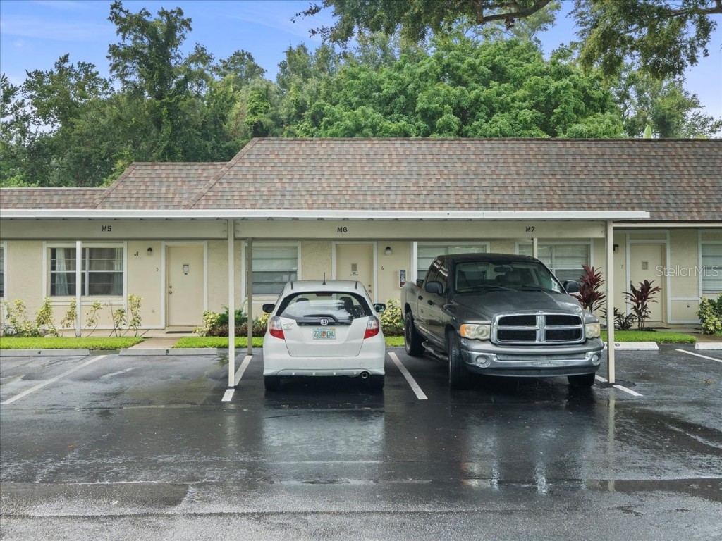 2357 Walton Circle #M6 Palm Harbor FL 34683 TB8402241 image1