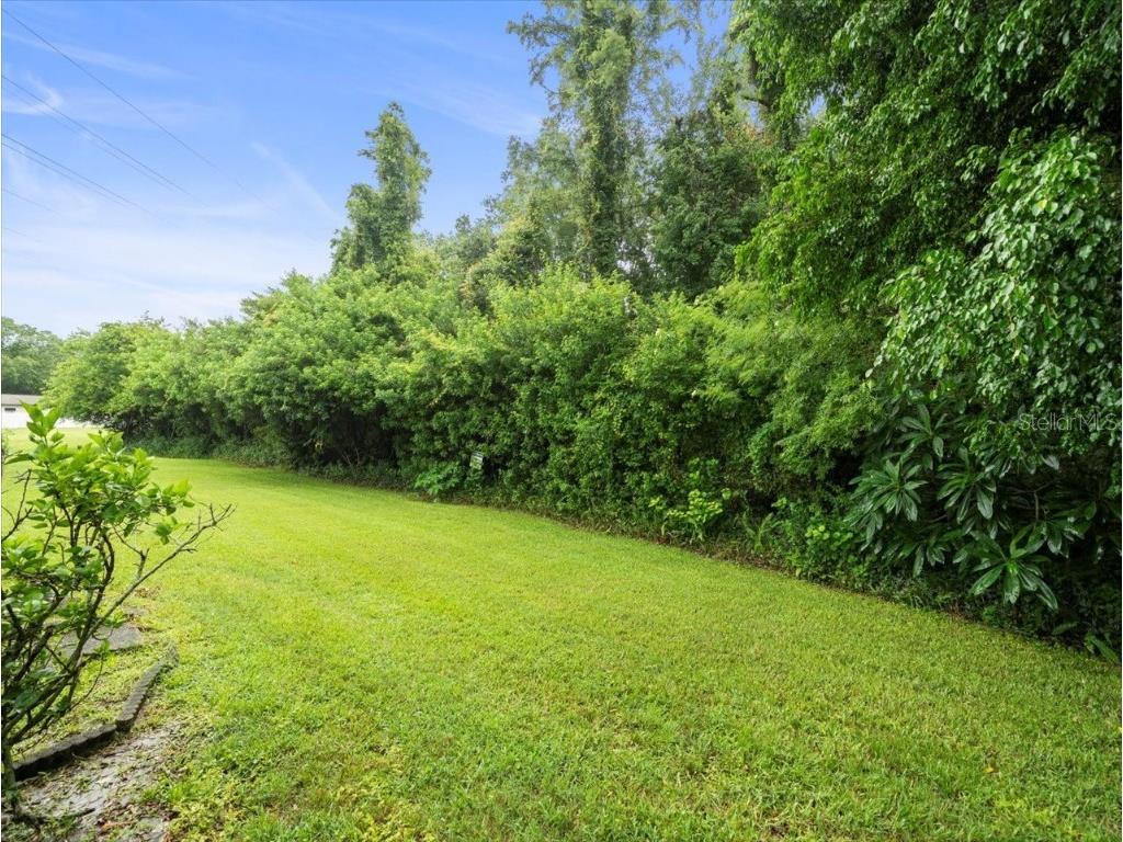 2357 Walton Circle #M6 Palm Harbor FL 34683 TB8402241 image29