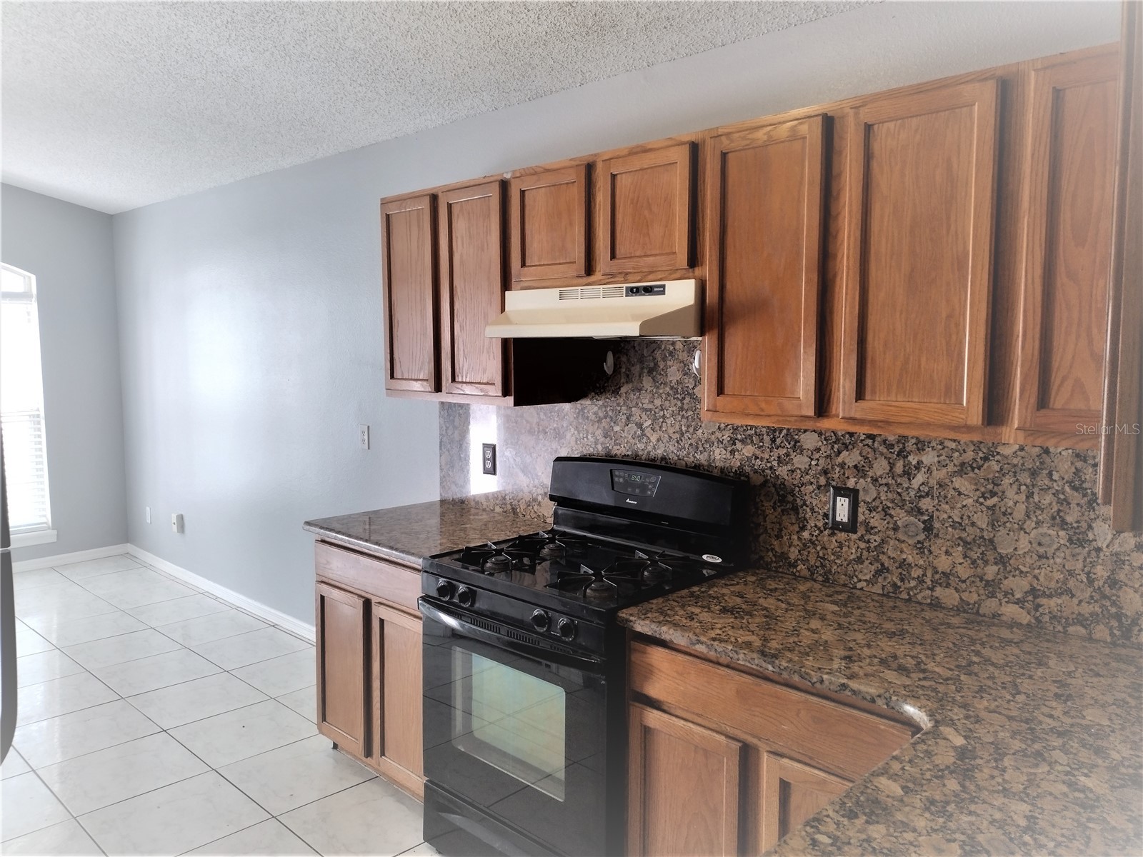 2358 Blue Sapphire Circle Orlando FL 32837 O6413358 image8