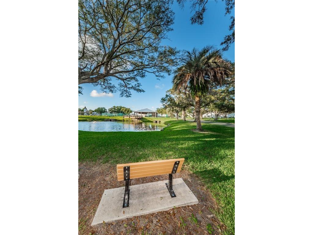 2358 Ecuadorian Way #52 Clearwater FL 33763 TB8454723 image58
