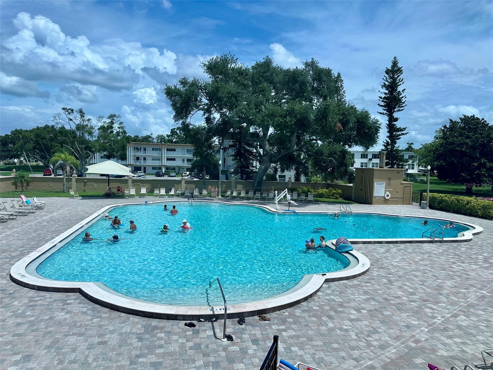 2358 Ecuadorian Way #56 Clearwater FL 33763 TB8499920 image32