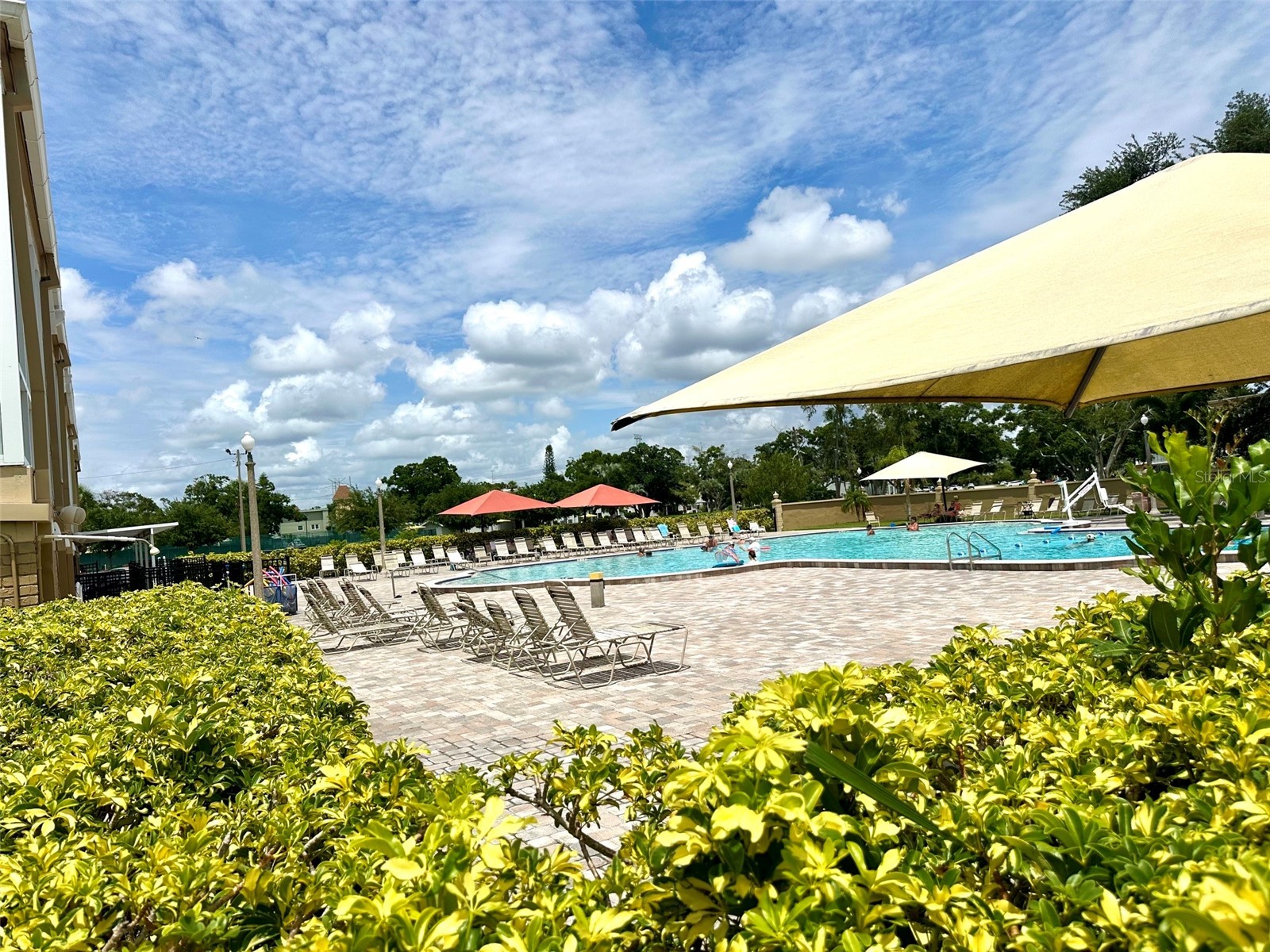 2358 Ecuadorian Way #56 Clearwater FL 33763 TB8499920 image37